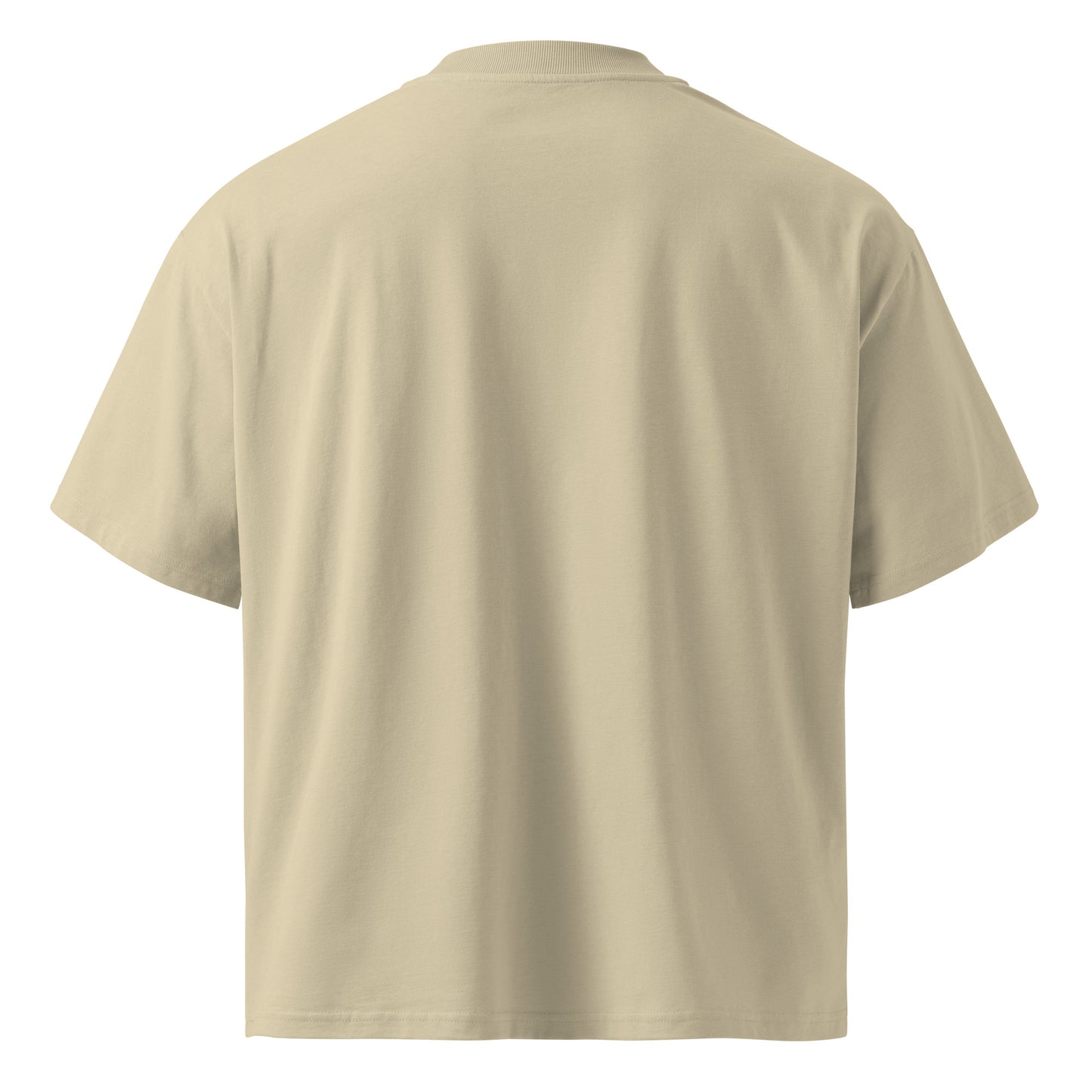 Faith-based sustainable streetwear t-shirt made from organic cotton