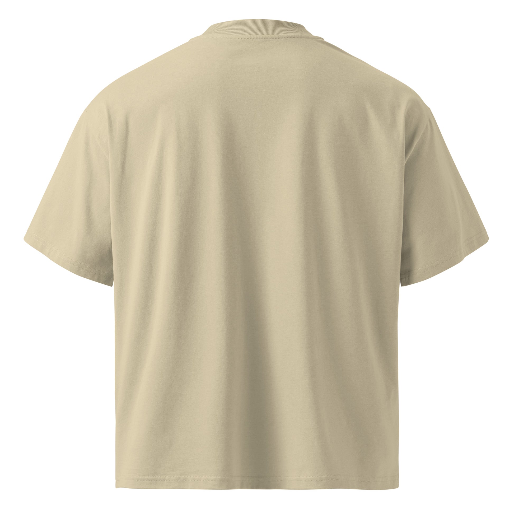 Faith-based sustainable streetwear t-shirt made from organic cotton
